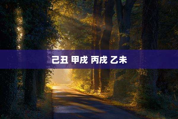 己丑 甲戌 丙戌 乙未
