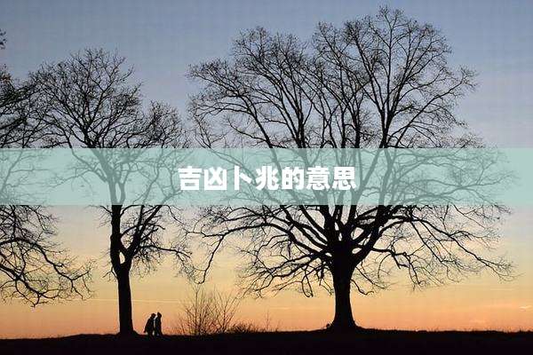 吉凶卜兆的意思