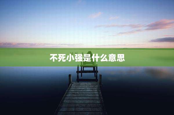 不死小强是什么意思