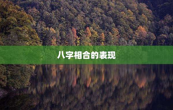 八字相合的表现