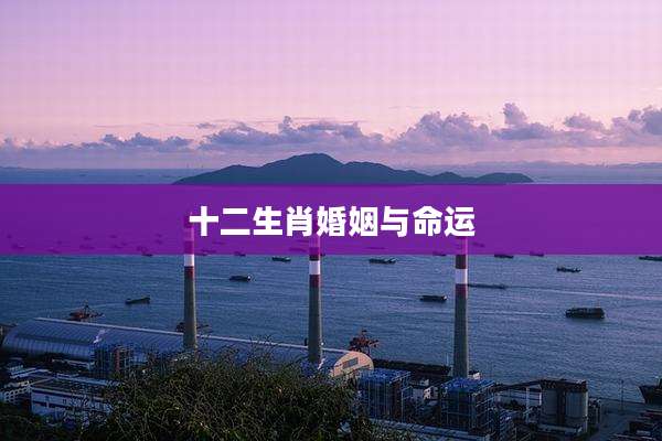 十二生肖婚姻与命运