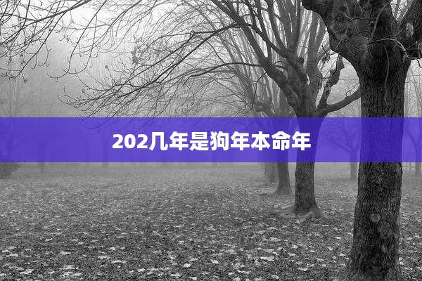 202几年是狗年本命年