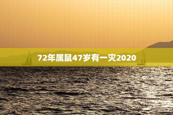 72年属鼠47岁有一灾2020