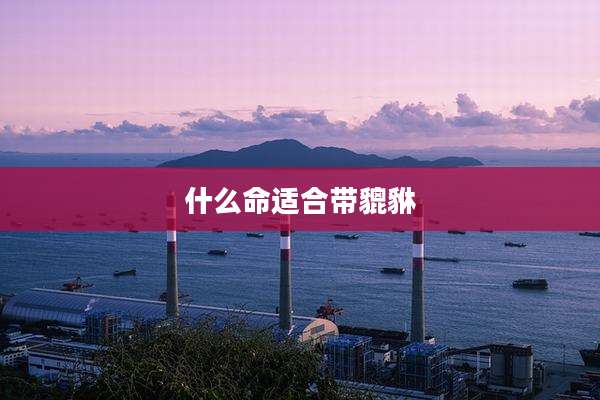 什么命适合带貔貅