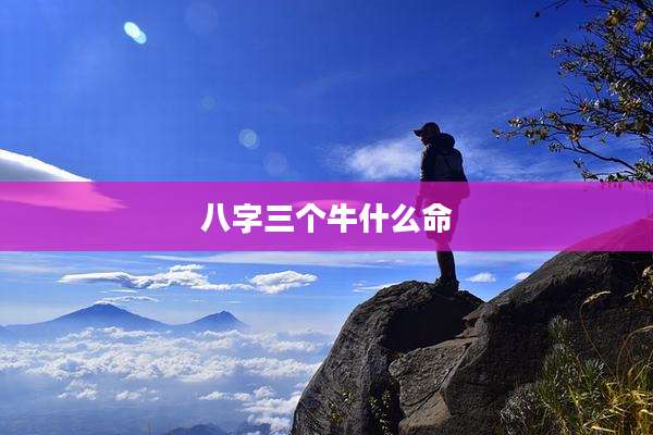 八字三个牛什么命