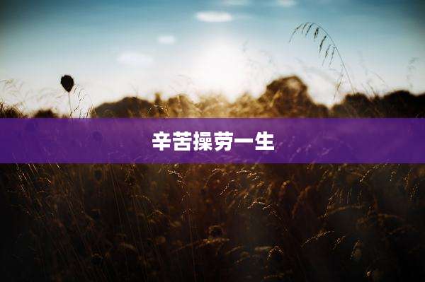 辛苦操劳一生