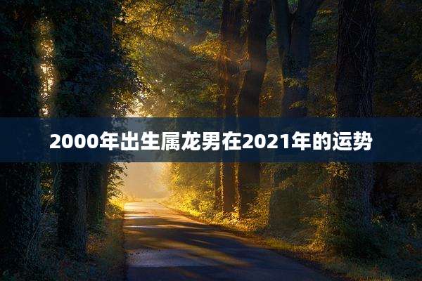 2000年出生属龙男在2021年的运势