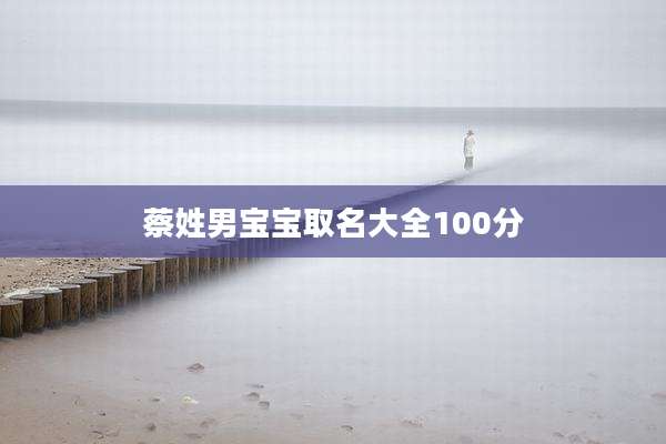 蔡姓男宝宝取名大全100分