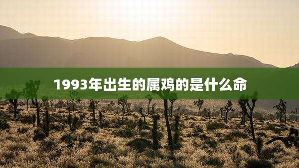 1993年出生的属鸡的是什么命