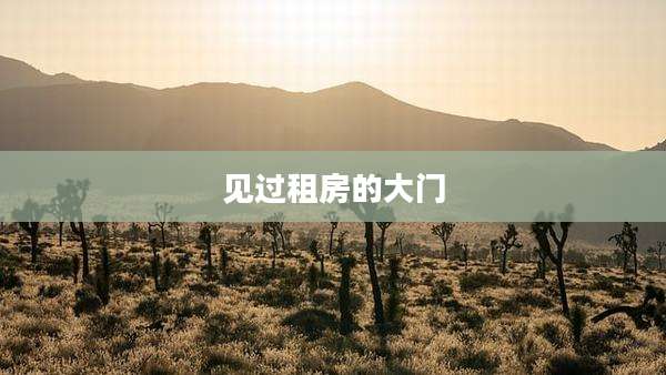 见过租房的大门