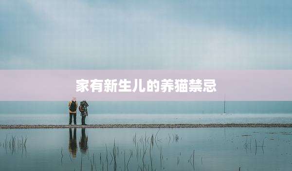家有新生儿的养猫禁忌