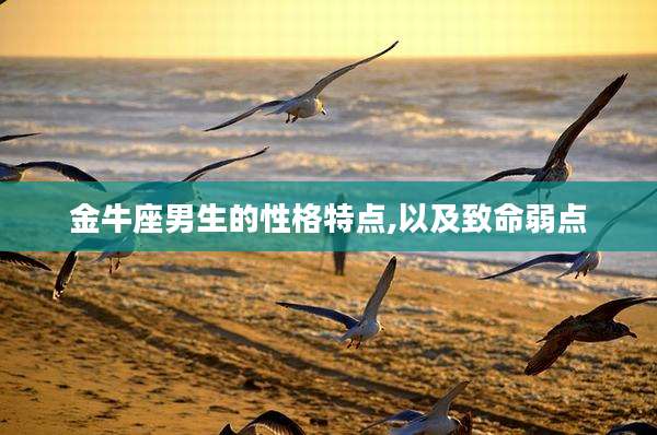 金牛座男生的性格特点,以及致命弱点