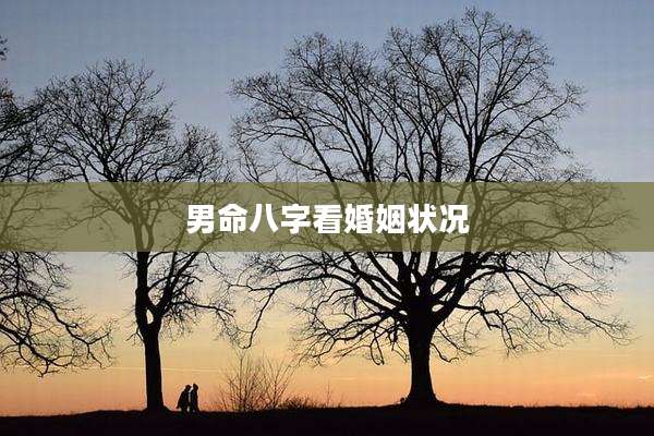男命八字看婚姻状况