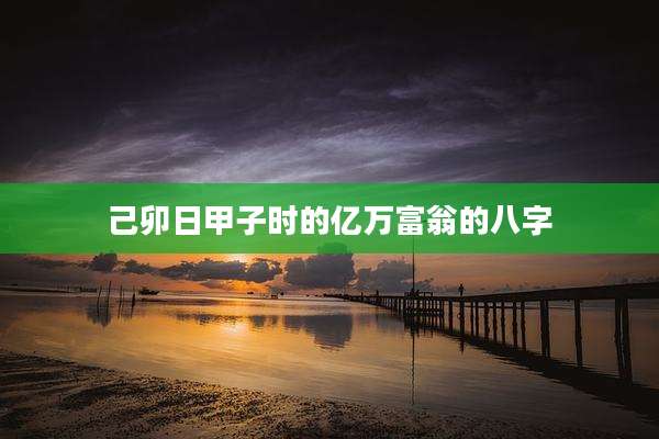 己卯日甲子时的亿万富翁的八字
