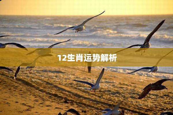 12生肖运势解析