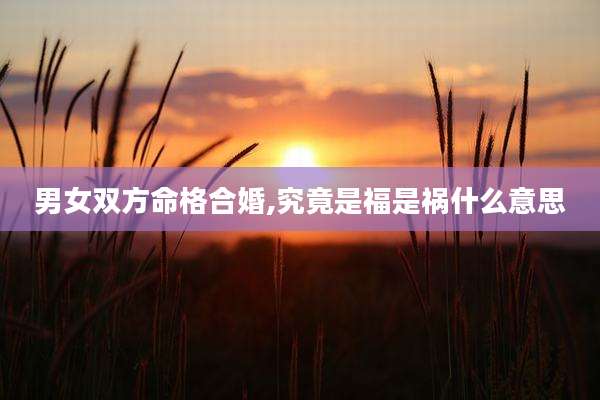 男女双方命格合婚,究竟是福是祸什么意思