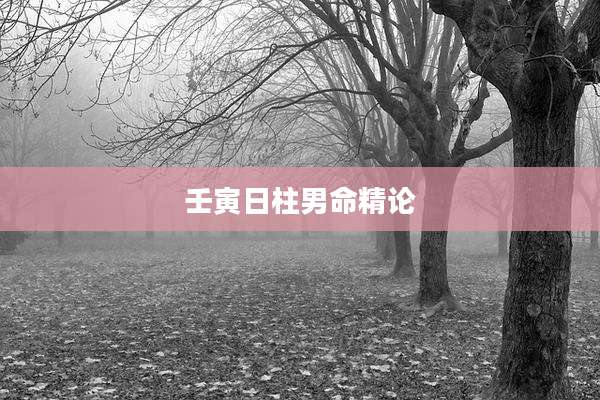壬寅日柱男命精论