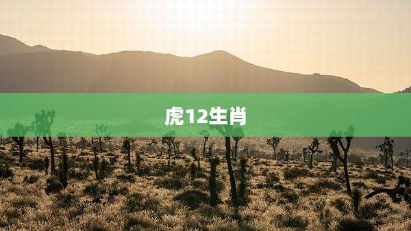虎12生肖