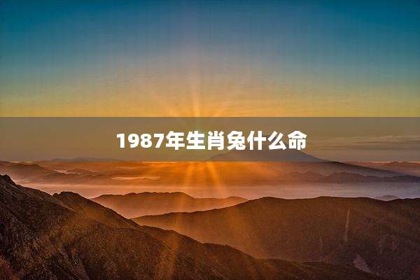 1987年生肖兔什么命