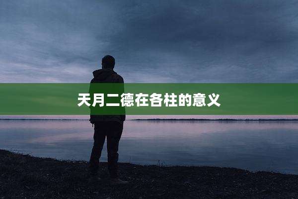 天月二德在各柱的意义