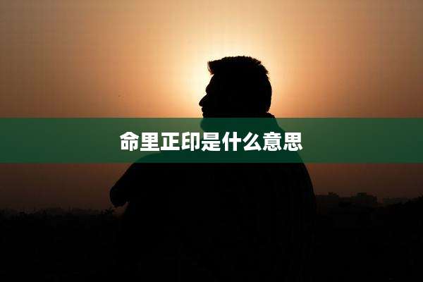 命里正印是什么意思