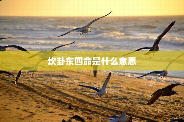 坎卦东四命是什么意思