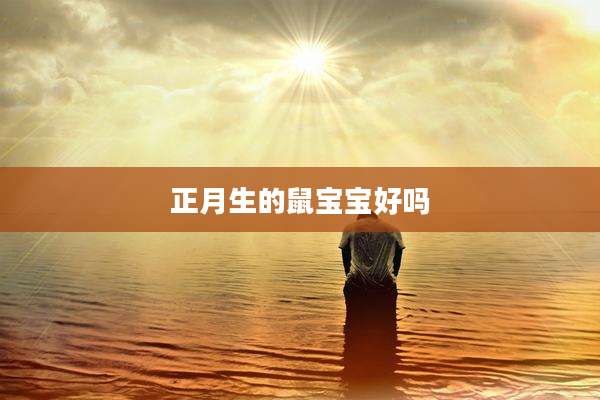 正月生的鼠宝宝好吗
