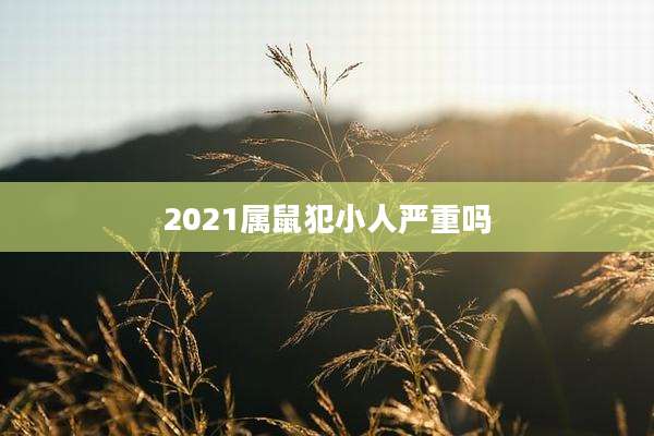 2021属鼠犯小人严重吗