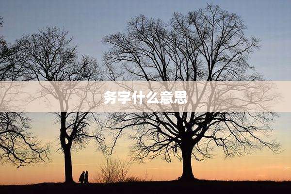 务字什么意思