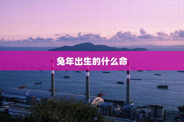 兔年出生的什么命