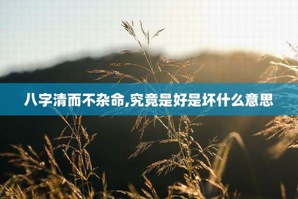 八字清而不杂命,究竟是好是坏什么意思