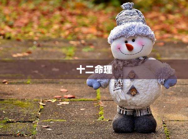 十二命理