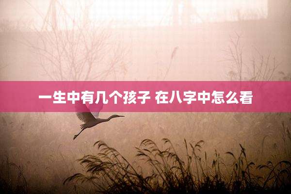 一生中有几个孩子 在八字中怎么看