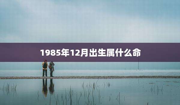 1985年12月出生属什么命