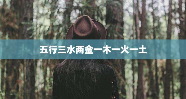 五行三水两金一木一火一土