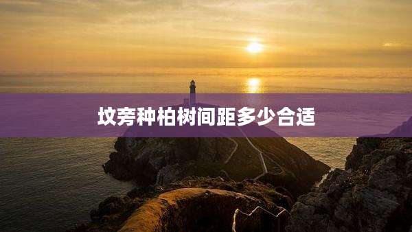 坟旁种柏树间距多少合适