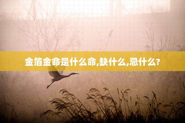 金箔金命是什么命,缺什么,忌什么?