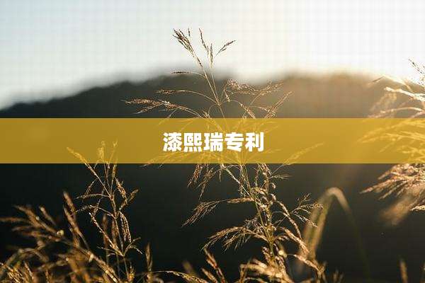 漆熙瑞专利