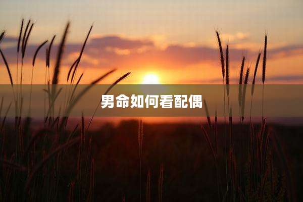男命如何看配偶