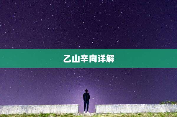 乙山辛向详解