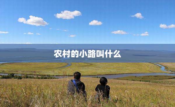 农村的小路叫什么
