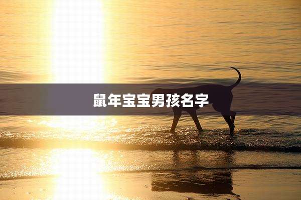 鼠年宝宝男孩名字