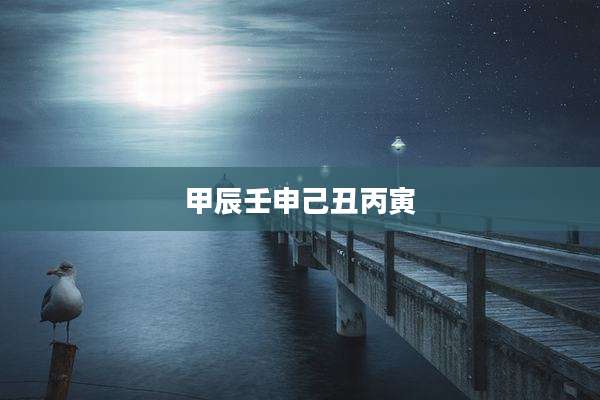 甲辰壬申己丑丙寅