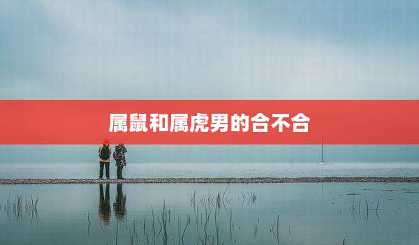 属鼠和属虎男的合不合