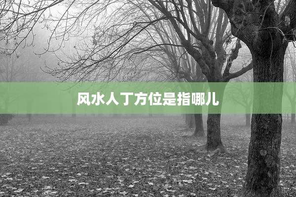 风水人丁方位是指哪儿