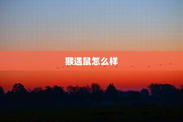 猴遇鼠怎么样