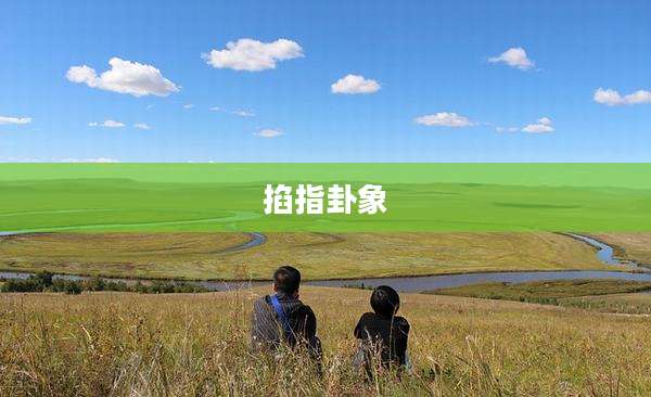 掐指卦象