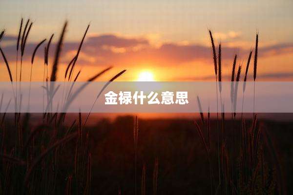 金禄什么意思