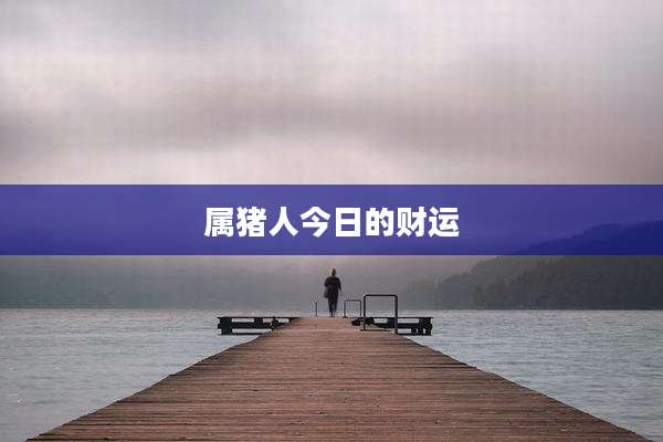 属猪人今日的财运