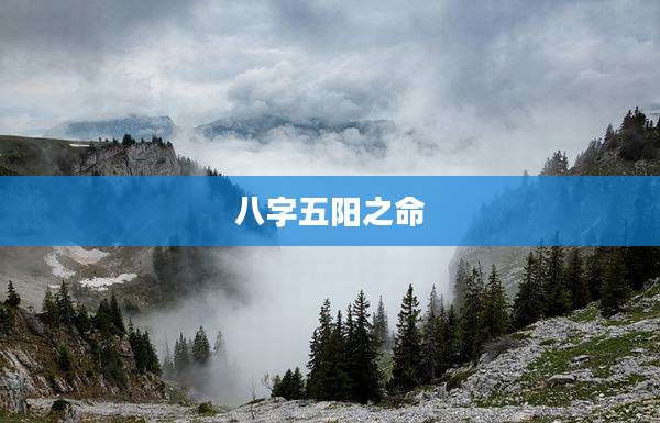 八字五阳之命